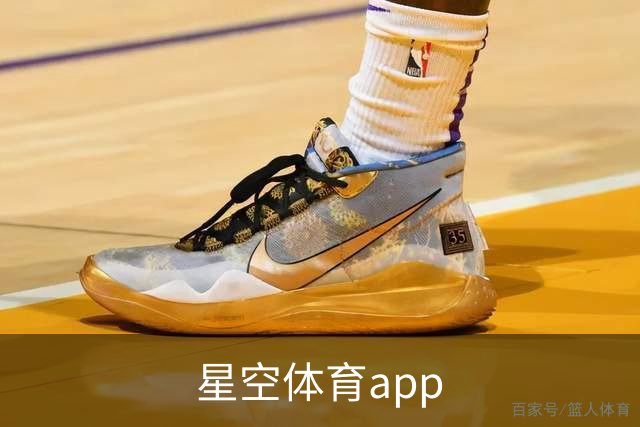 星空体育app 公司简介